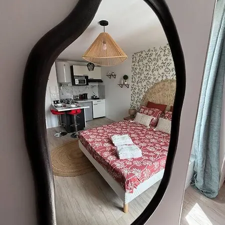 Roanne - Le Studio 102 Extérieur photo
